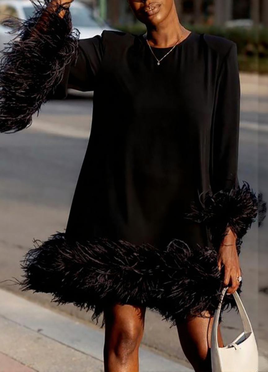 Feathered Mini Dress with Asymmetrical Hem